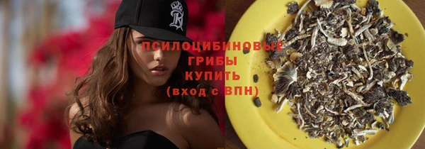 ГАЛЛЮЦИНОГЕННЫЕ ГРИБЫ Алзамай