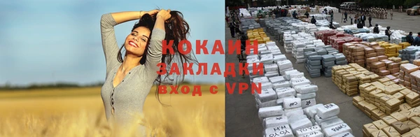 бошки Мегион