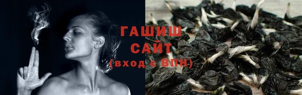 ГАЛЛЮЦИНОГЕННЫЕ ГРИБЫ Алзамай