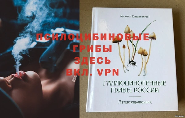 ГАЛЛЮЦИНОГЕННЫЕ ГРИБЫ Алзамай
