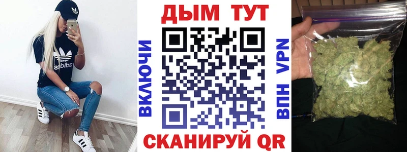 Бошки Шишки марихуана  продажа наркотиков  Ужур 